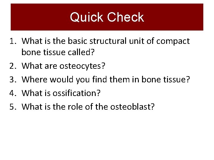 Quick Check 1. What is the basic structural unit of compact bone tissue called?