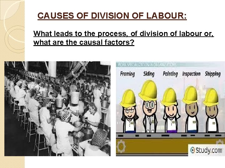 CAUSES OF DIVISION OF LABOUR: What leads to the process, of division of labour