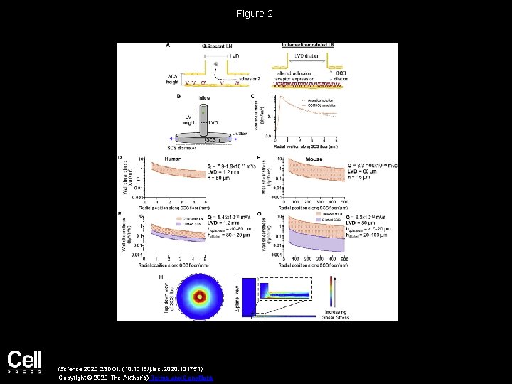 Figure 2 i. Science 2020 23 DOI: (10. 1016/j. isci. 2020. 101751) Copyright ©