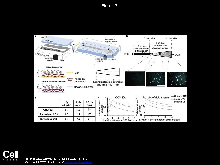 Figure 3 i. Science 2020 23 DOI: (10. 1016/j. isci. 2020. 101751) Copyright ©