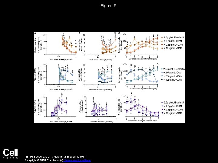 Figure 5 i. Science 2020 23 DOI: (10. 1016/j. isci. 2020. 101751) Copyright ©