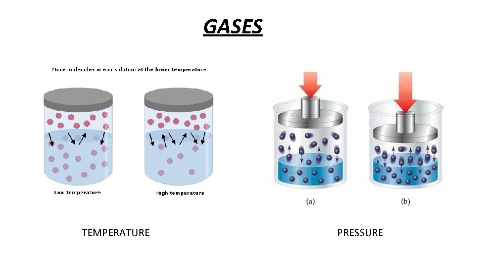 GASES TEMPERATURE PRESSURE 