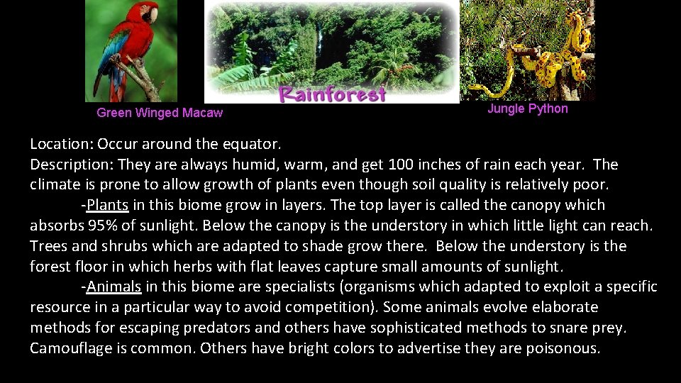 Green Winged Macaw Jungle Python Location: Occur around the equator. Description: They are always