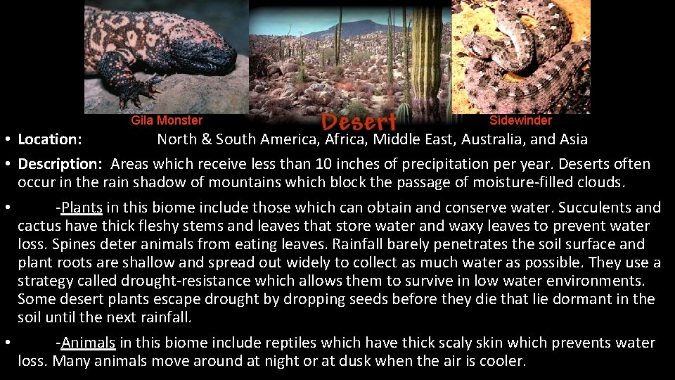 Gila Monster Sidewinder • Location: North & South America, Africa, Middle East, Australia, and