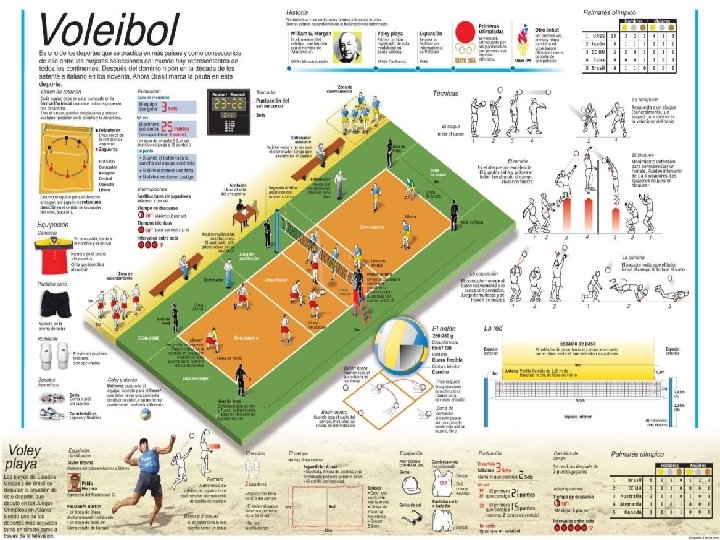 Voleibol grafico 