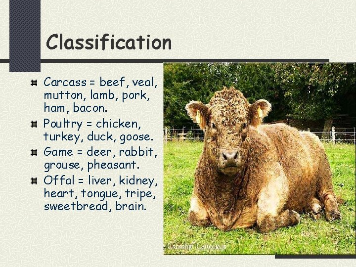 Classification Carcass = beef, veal, mutton, lamb, pork, ham, bacon. Poultry = chicken, turkey,