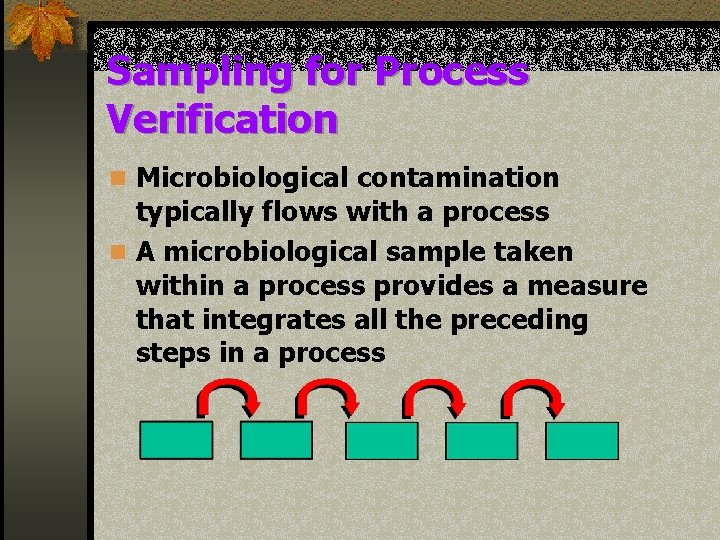 Sampling for Process Verification n Microbiological contamination typically flows with a process n A
