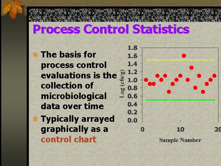 Process Control Statistics n The basis for process control evaluations is the collection of