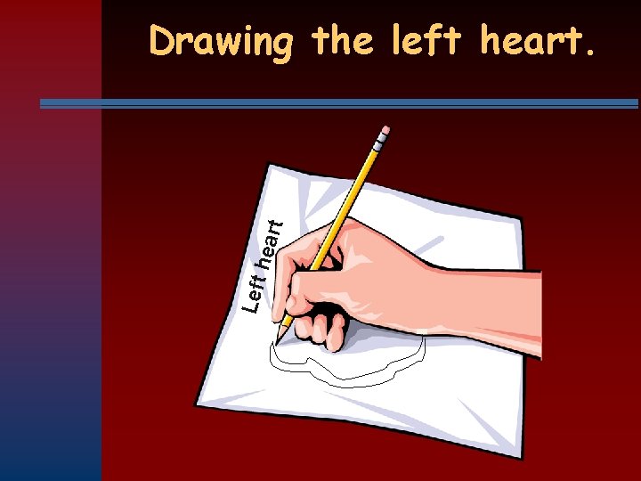 Left hear t Drawing the left heart. 