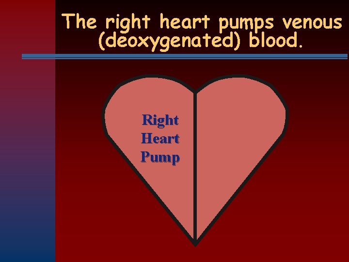 The right heart pumps venous (deoxygenated) blood. Right Heart Pump 