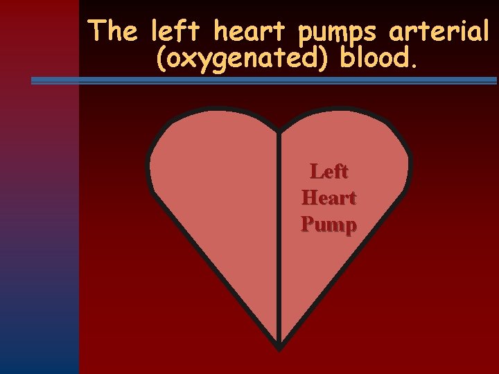 The left heart pumps arterial (oxygenated) blood. Left Heart Pump 