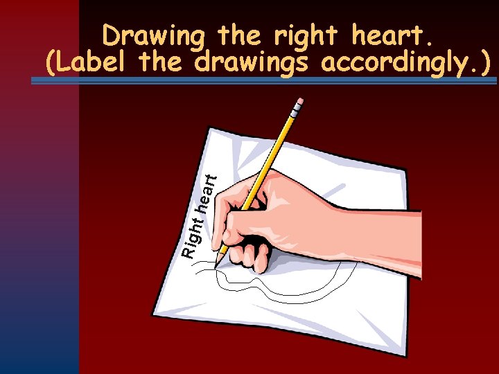 Righ t he art Drawing the right heart. (Label the drawings accordingly. ) 