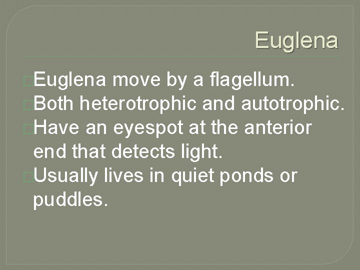 Euglena �Euglena move by a flagellum. �Both heterotrophic and autotrophic. �Have an eyespot at