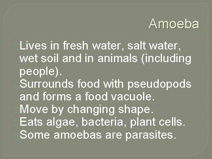 Amoeba �Lives in fresh water, salt water, wet soil and in animals (including people).