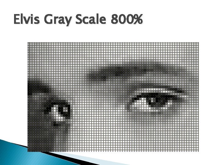 Elvis Gray Scale 800% 