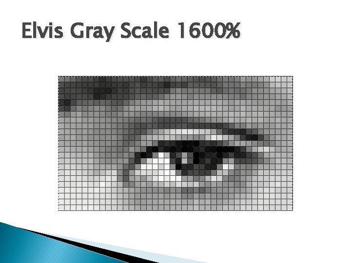 Elvis Gray Scale 1600% 