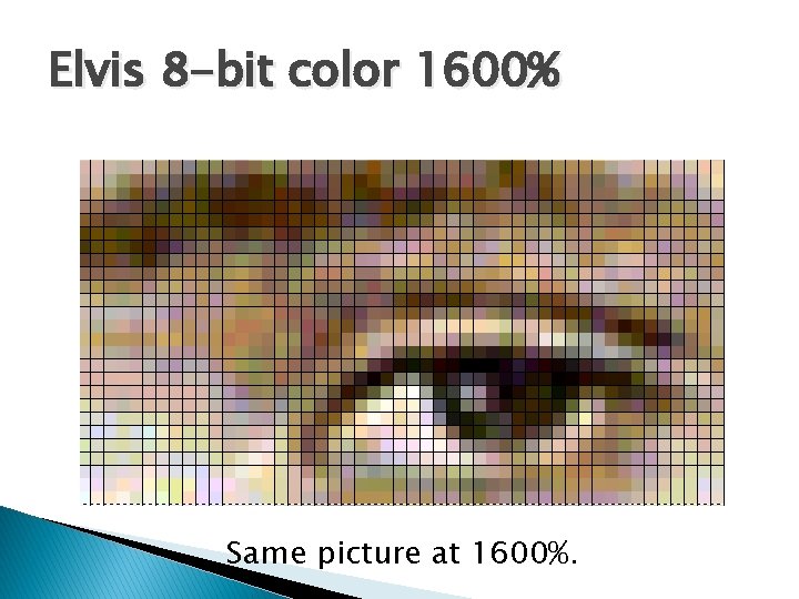 Elvis 8 -bit color 1600% Same picture at 1600%. 