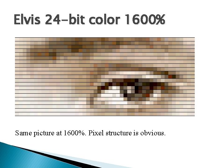 Elvis 24 -bit color 1600% Same picture at 1600%. Pixel structure is obvious. 