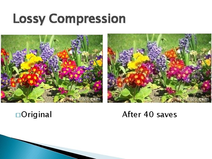 Lossy Compression � Original After 40 saves 