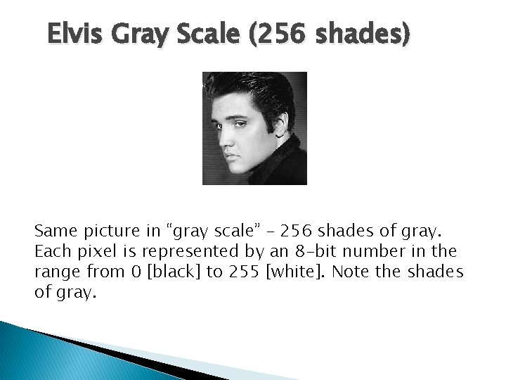 Elvis Gray Scale (256 shades) Same picture in “gray scale” – 256 shades of