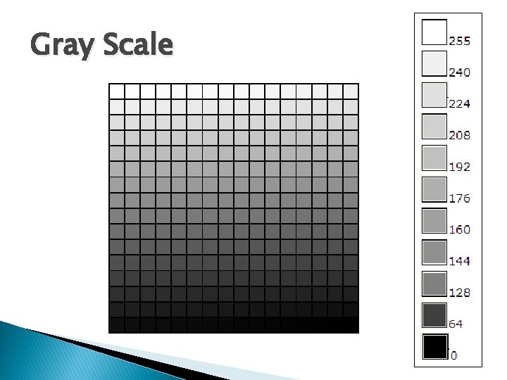 Gray Scale 