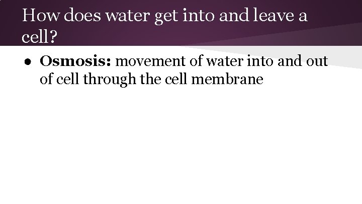 How does water get into and leave a cell? ● Osmosis: movement of water