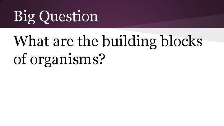 Big Question What are the building blocks of organisms? 