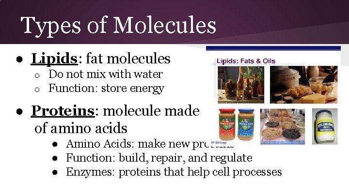 Types of Molecules ● Lipids: fat molecules o o Do not mix with water