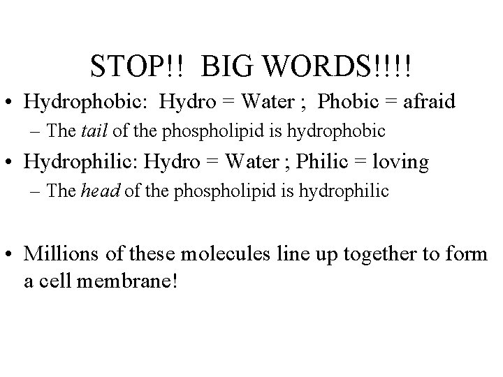 STOP!! BIG WORDS!!!! • Hydrophobic: Hydro = Water ; Phobic = afraid – The