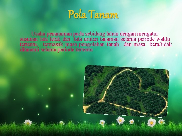 Pola Tanam Usaha penanaman pada sebidang lahan dengan mengatur susunan tata letak dan tata