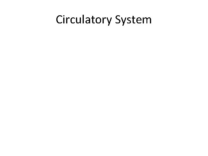 Circulatory System 