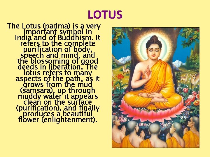 LOTUS The Lotus (padma) is a very important symbol in India and of Buddhism.
