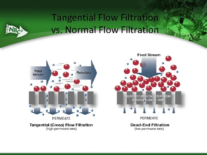 Tangential Flow Filtration vs. Normal Flow Filtration Tangential Flow Filtration vs. Normal Flow Filtration