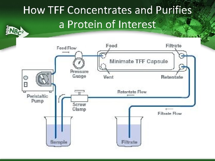How TFF Concentrates and Purifies a Protein of Interest How TFF Concentrates and Purifies a Protein of Interest