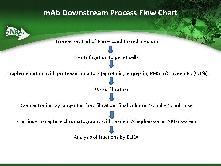 – m. Ab Downstream Process Flow Chart Bioreactor: End of Run – conditioned medium – m. Ab Downstream Process Flow Chart Bioreactor: End of Run – conditioned medium