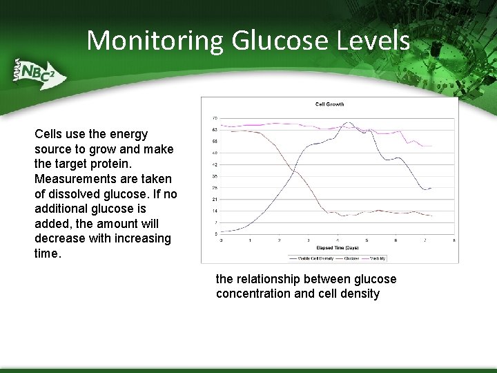 Monitoring Glucose Levels Cells use the energy source to grow and make the target Monitoring Glucose Levels Cells use the energy source to grow and make the target
