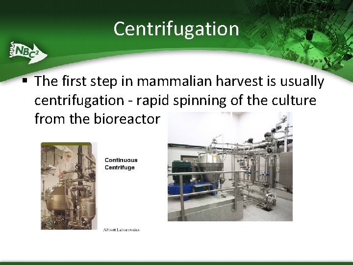 Centrifugation § The first step in mammalian harvest is usually centrifugation - rapid spinning Centrifugation § The first step in mammalian harvest is usually centrifugation - rapid spinning