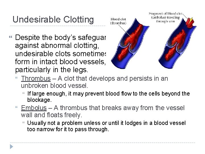 Undesirable Clotting Despite the body’s safeguards against abnormal clotting, undesirable clots sometimes form in