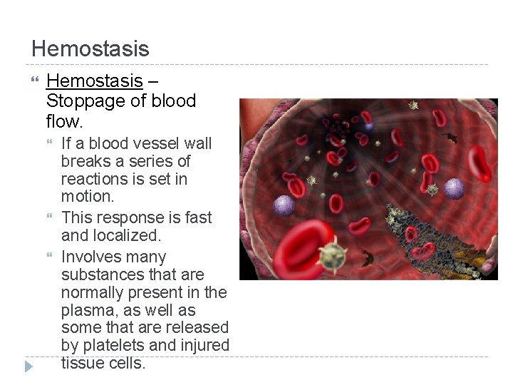 Hemostasis – Stoppage of blood flow. If a blood vessel wall breaks a series