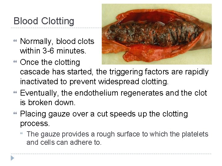 Blood Clotting Normally, blood clots within 3 -6 minutes. Once the clotting cascade has