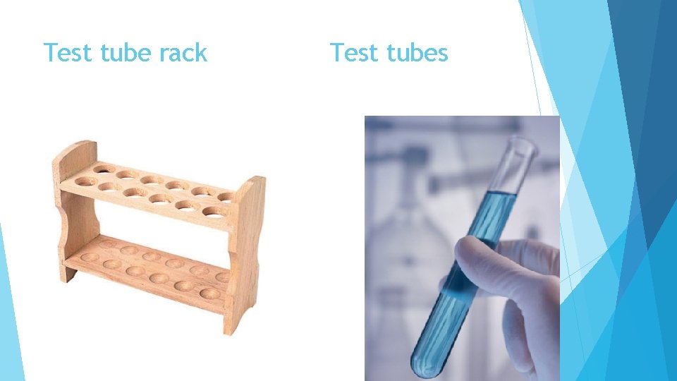 Test tube rack Test tubes 