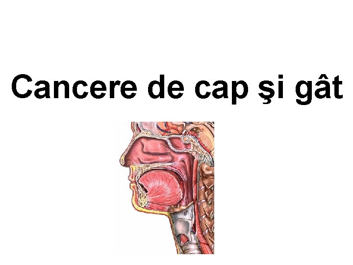 Cancere de cap şi gât 