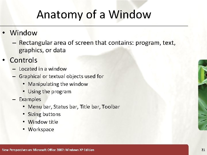 Anatomy of a Window • Window – Rectangular area of screen that contains: program,