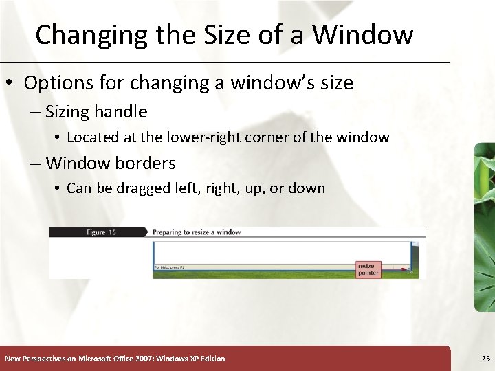 Changing the Size of a Window • Options for changing a window’s size –