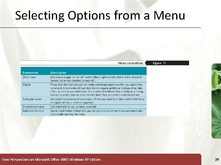 Selecting Options from a Menu New Perspectives on Microsoft Office 2007: Windows XP Edition