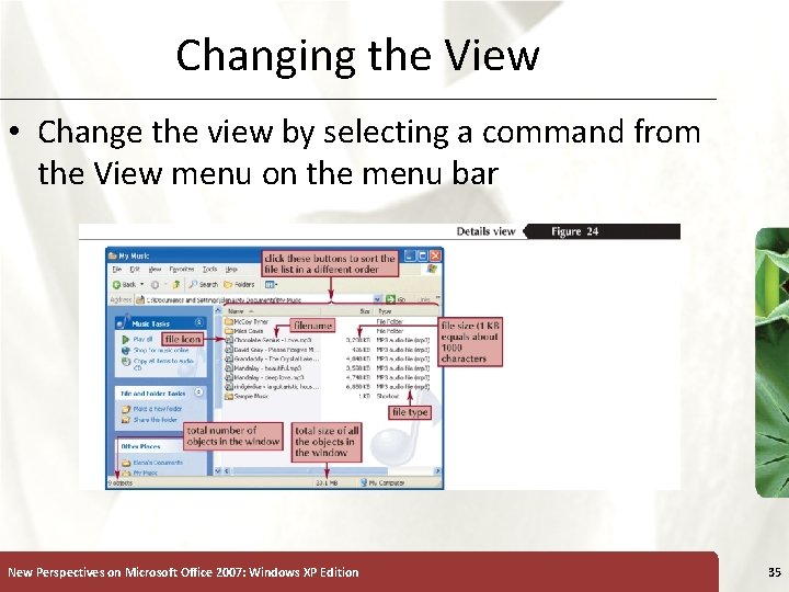 Changing the View • Change the view by selecting a command from the View