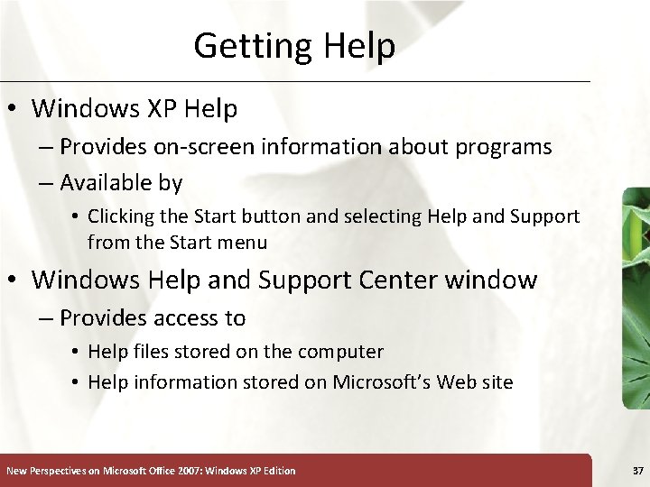 Getting Help • Windows XP Help – Provides on-screen information about programs – Available