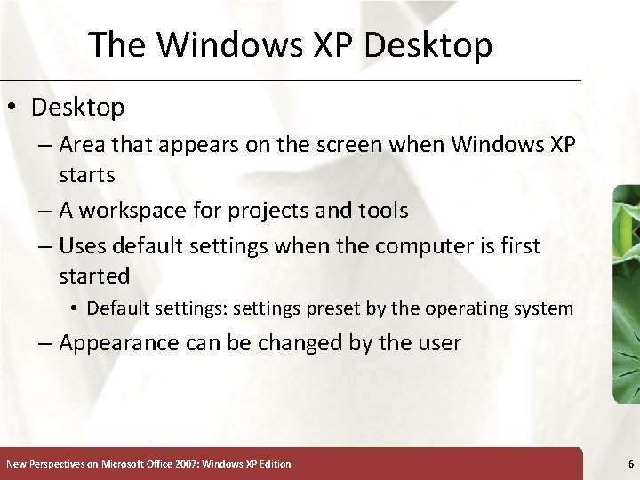 The Windows XP Desktop • Desktop – Area that appears on the screen when