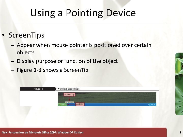 Using a Pointing Device • Screen. Tips – Appear when mouse pointer is positioned