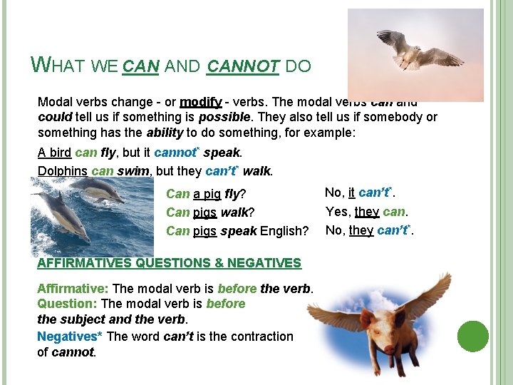 WHAT WE CAN AND CANNOT DO Modal verbs change - or modify – verbs.